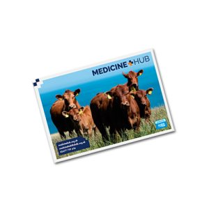 Medicine Hub A5 Flyer
