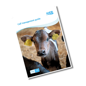 Calf management guide