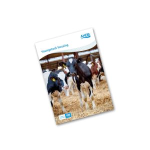 Youngstock housing guide