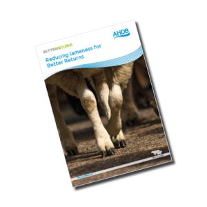 Reducing lameness