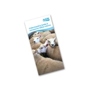 Understanding lambs and carcases