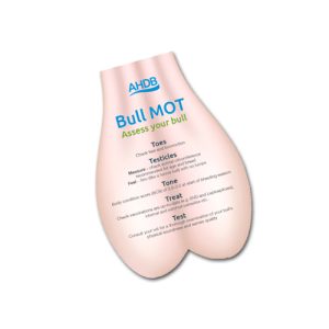 Bull MOT leaflet