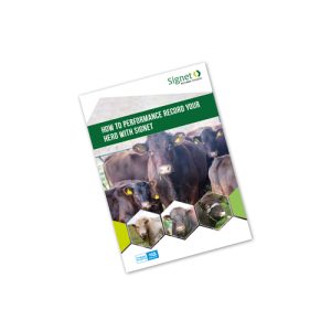 How to performance record your herd with Signet