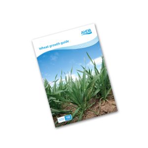 Wheat growth guide