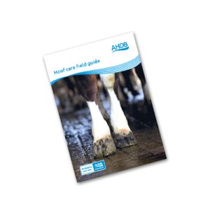 Hoof care field guide
