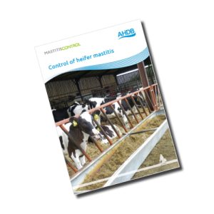 Control of heifer mastitis