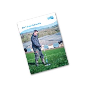 The forage first guide
