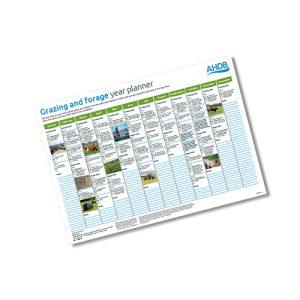 Grazing and forage year planner (Dairy)