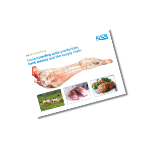 Understanding lamb production