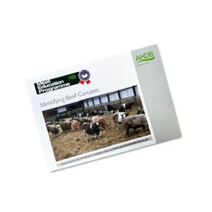 Identifying beef carcases
