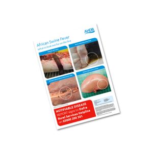 African Swine Fever abattoir poster (A2)