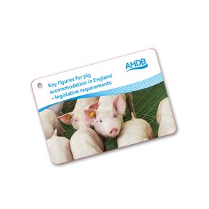 Key figures for pig accommodation booklet