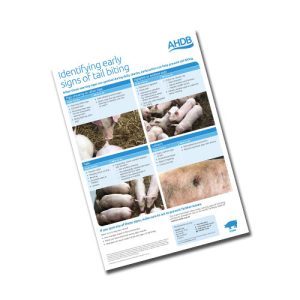 Identifying early signs of tail biting poster (A3)