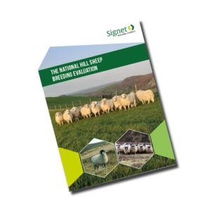 Signet The national hill sheep breeding evaluation