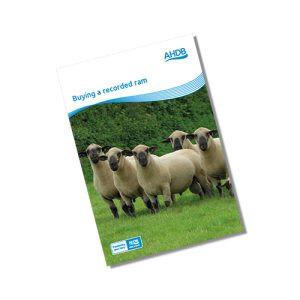 Buying a recorded ram