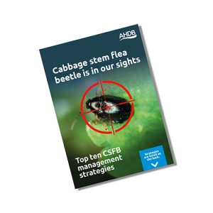 Cabbage stem flea beetle leaflet
