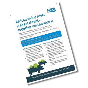 Dont give disease a piggyback A5 leaflet