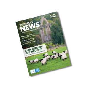 Ruminant News magazine: Autumn 2026